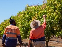 Northern Territory farmers are keen to maintain their competitive edge