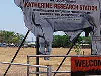 Katherine Research Station