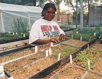 Indigenous women tending to plants during the 1990s
