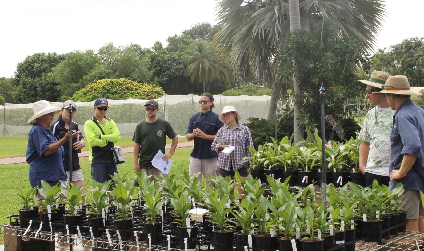 Figure 2: Heather Wallace (first from left) shared the on-going nutrition studies on curcuma under nursery conditions