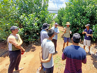 Local jackfruit growers at Field Day at DITT Coastal Plains Research Farm