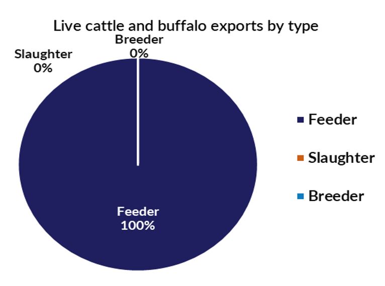 Pie chart of live cattle and buffalo exports - feeder 100%