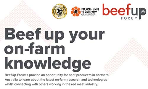 Beef up your on-farm knowledge