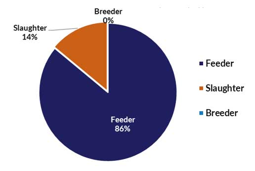 Live cattle and buffalo exports by type: feeder 0%, slaughter 14%, breeder 0%