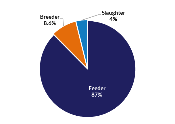 Slaughter 15%; feeder 85%;