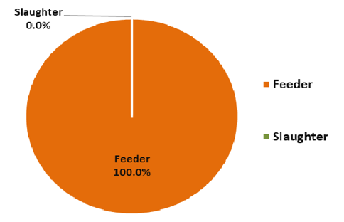 Live cattle and buffalo exports by feeder and slaughter type