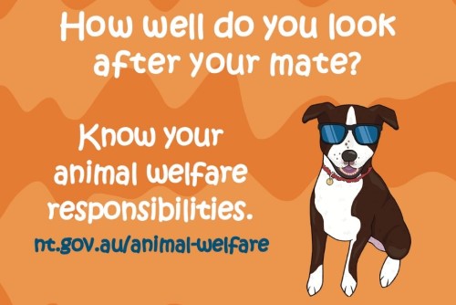 Know your animal welfare responsibilities