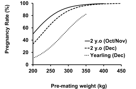 Figure 1. The effect of pre-mating weight on pregnancy rate in maiden Brahman heifers