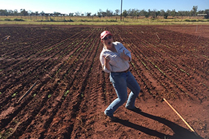 Teagan Alexander, very happy that our quinoa trial is germinating well