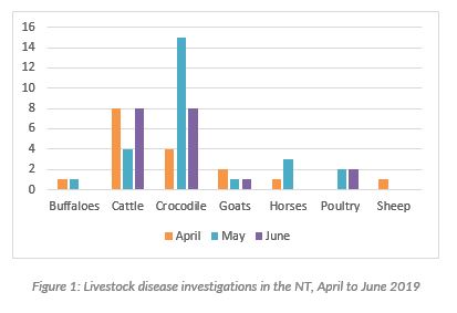 Graph showing number of disease investigations on animals throughout the Northern Territory