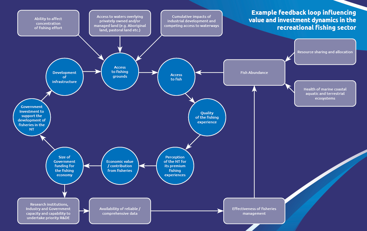 Example feedback loop influencing value and investment dynamics in the recreational fishing sector