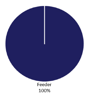 Pie chart: feeder 100%