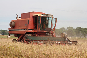 Dave Hancock harvesting soybeans at KRS
