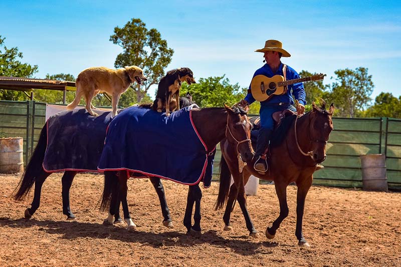 Katherine Outback Experience rewarded with Chairman’s Choice for Tourism Excellence