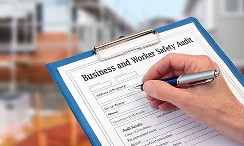Business Security and Safety Audit Program open