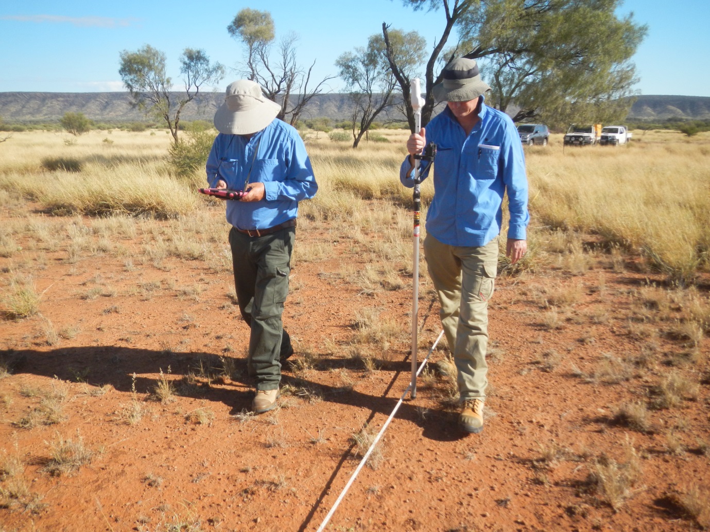 A laser pointer mounted on a pole is used to measure groundcover components at 300 points within one hectare at each measured site. Data are recorded using a tablet