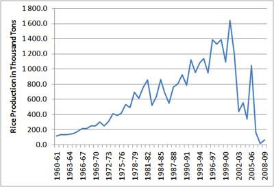 Australian rice yields 1960 to 2009