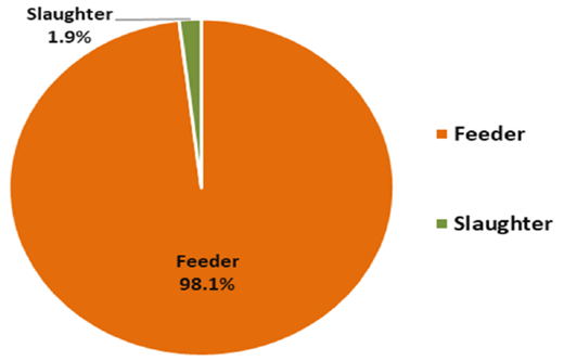 Graph - Live cattle and buffalo exports by type (Feeder/Slaughter)