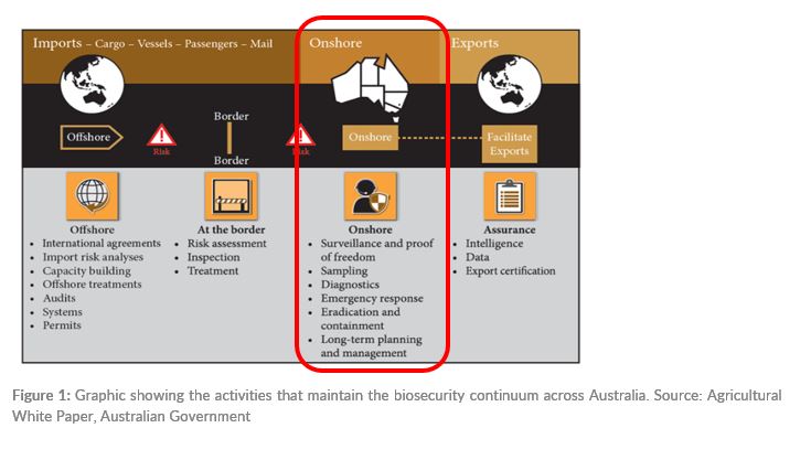 Figure 1: Graphic showing the activities that maintain the biosecurity continuum across Australia. Source: Agricultural White Paper, Australian Government