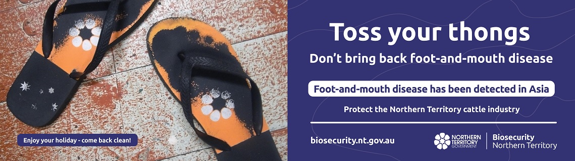 Toss your thongs, foot and mouth disease has been detected in Asia