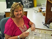 Staff member inspecting insect specimens
