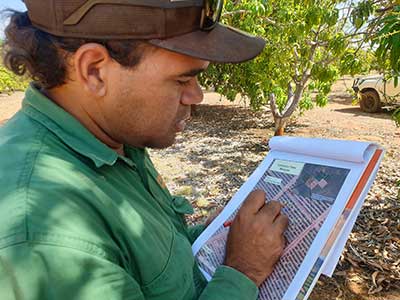 Dylan Williams, identifying mango trees in the orchard