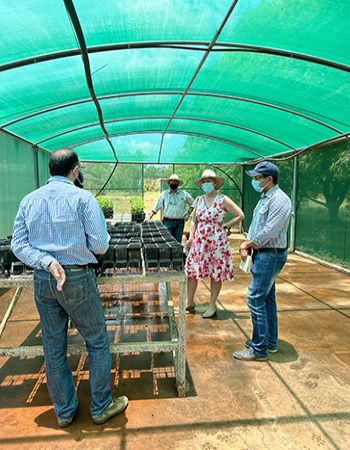 Minister Nicole Manison viewing Kakadu Plum and mango nursery in a shade house at Katherine Research Station
