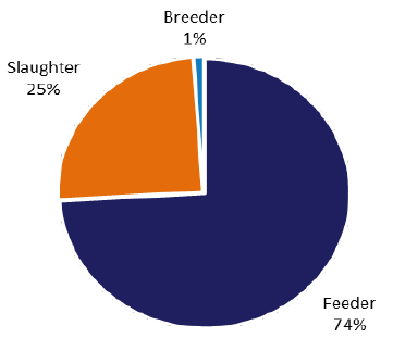 Pie chart: feeder 74%, slaughter 25%, breeder 1%.