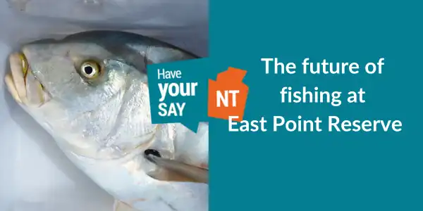 Have your say on new fishing jetty for East Point Reserve
