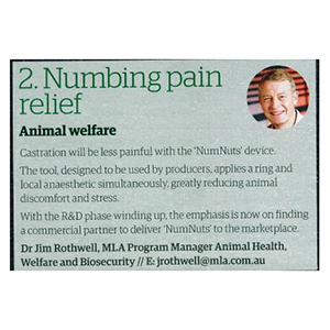 2. Numbing pain relief
