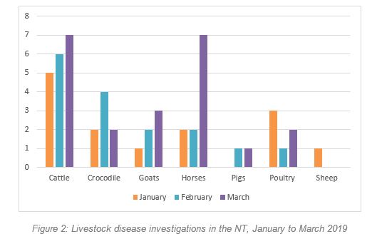 Graph showing livestock disease investigations in the N T from January to March 2019