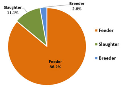 Live cattle and buffalo exports by type