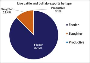 Live cattle and buffalo exports by type: slaughter 12.4%, productive 0.1%, feeder 87.5%