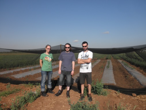 Figure 1: Plant pathologists (from left) Nadine Kruz Sharl Mintoff and David Lovelock visit one of their field trials