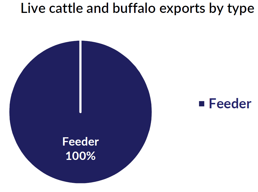 PMU Mar 2023 Live cattle and buffalo exports by type