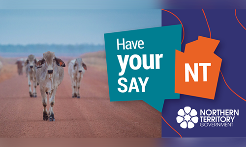 Have your say NT