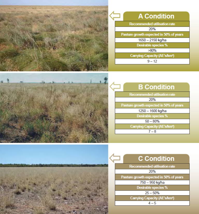 Figure 1: Example from the Barkly Land Condition Guide for Creswell land system.