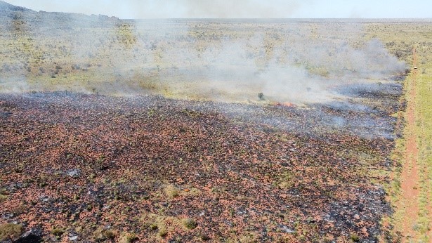 A recent burn south of Alice Springs conducted in early March
