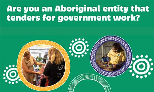 Are you an Aboriginal entity that tenders for government work?