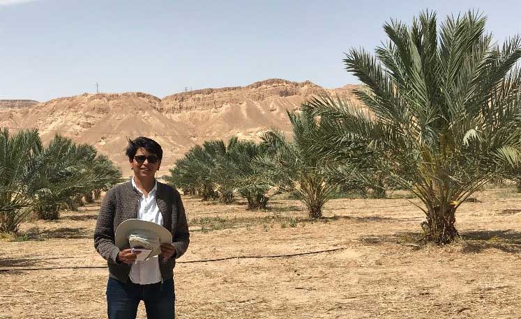Dr Girija Page in a date palm paddock
