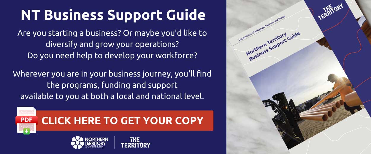 NT business support guide