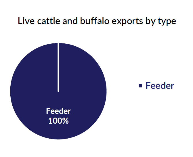 Live cattle and buffalo exports by type - January 2023