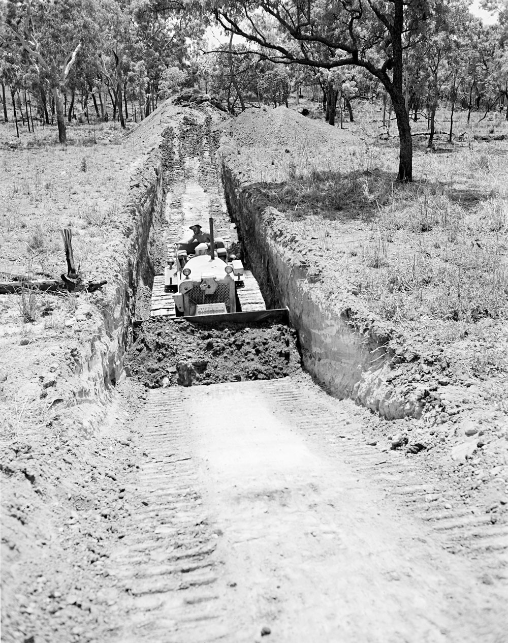   Bulldozer costeaning at Rum Jungle (1959). National Archives of Australia: A1200, L30438