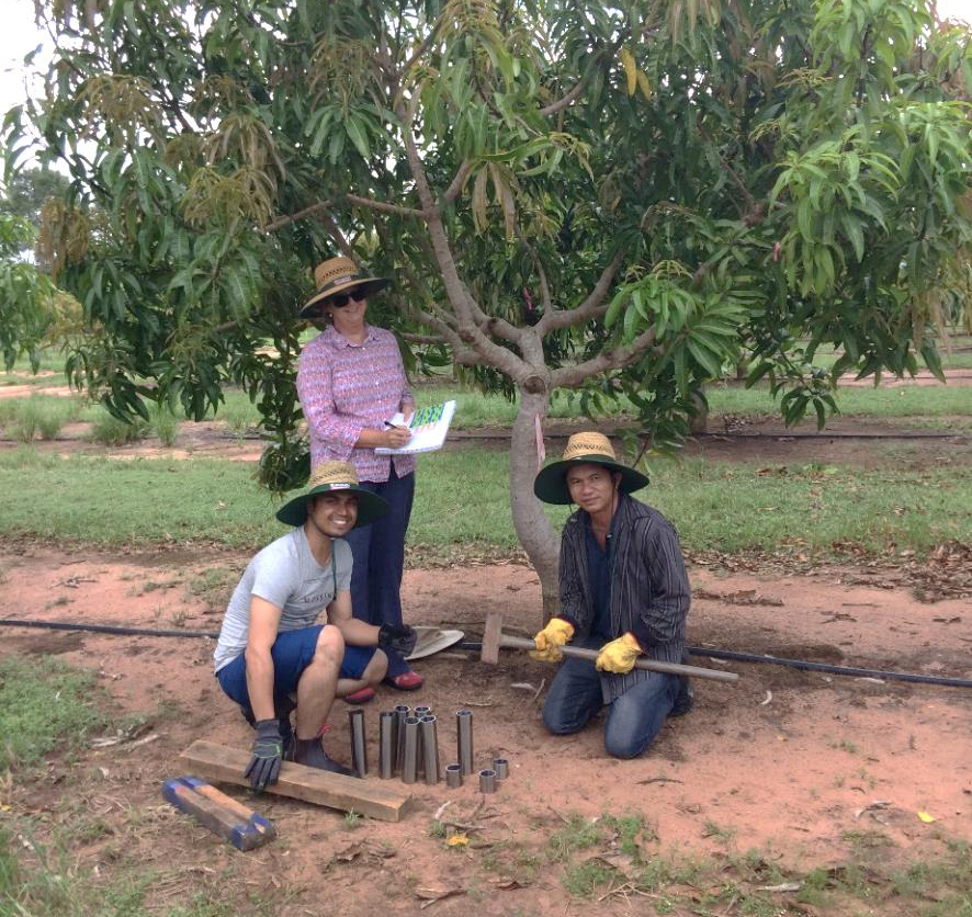 Project team begins soil sampling (L to R), Queensland University of Technology PhD student Hemant Pandeya who will work on the project with DPIR staff Project Scientist Dr Joanne Tilbrook (standing) and Senior Nutrition Scientist Dr Tony Asis